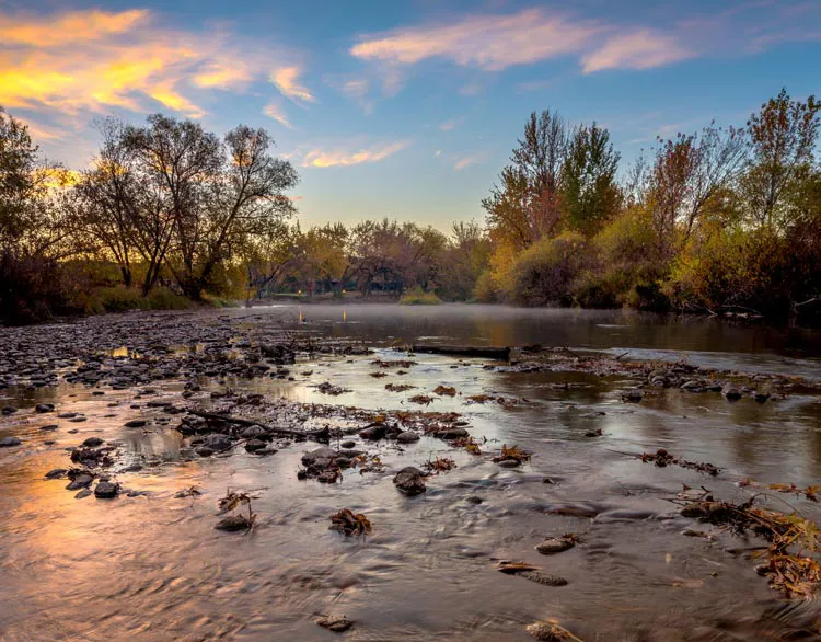 eagle-idaho-tvfp